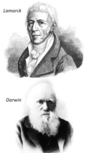 Ernährungsplan Epigenetik Lamarck